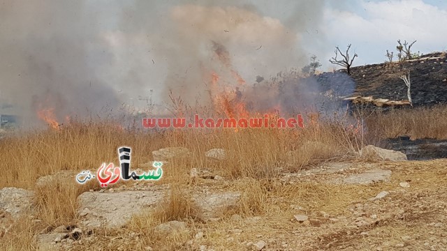 كفر قاسم -فيديو:اندلاع حريق في منتزة عبد الكريم قاسم وطواقم الاطفاء تسيطر على الحريق